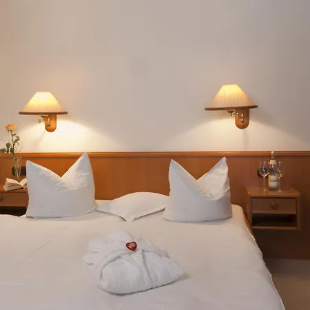 Hotel Parkfrieden 2*